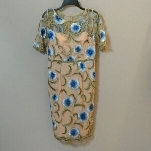 NWOT Adrianna Papell Lace  Embroidery Dress. VINTAGE Fairycore Romantic Size 8